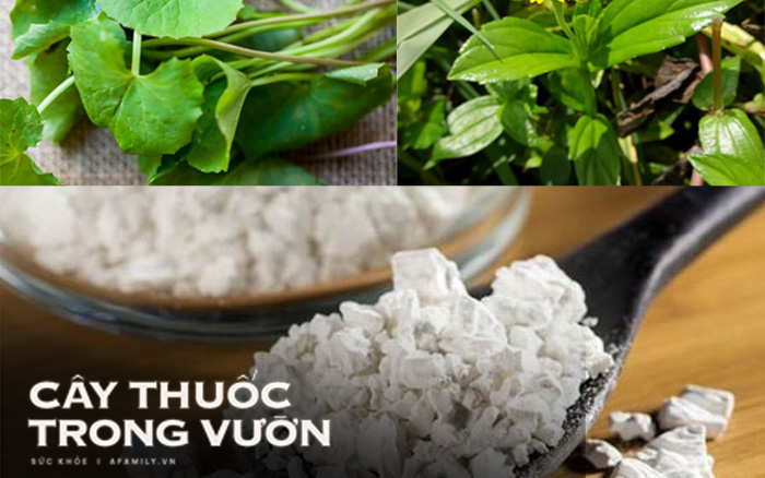 Lương y &quot;bật mí&quot; một loạt bài thuốc trị nóng trong người