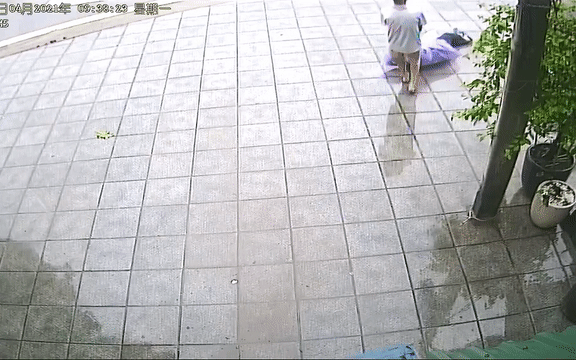 Phẫn nộ clip người đàn ông bất tỉnh bị lôi xềnh xệnh "vứt" ra vỉa hè giữa trời mưa lớn