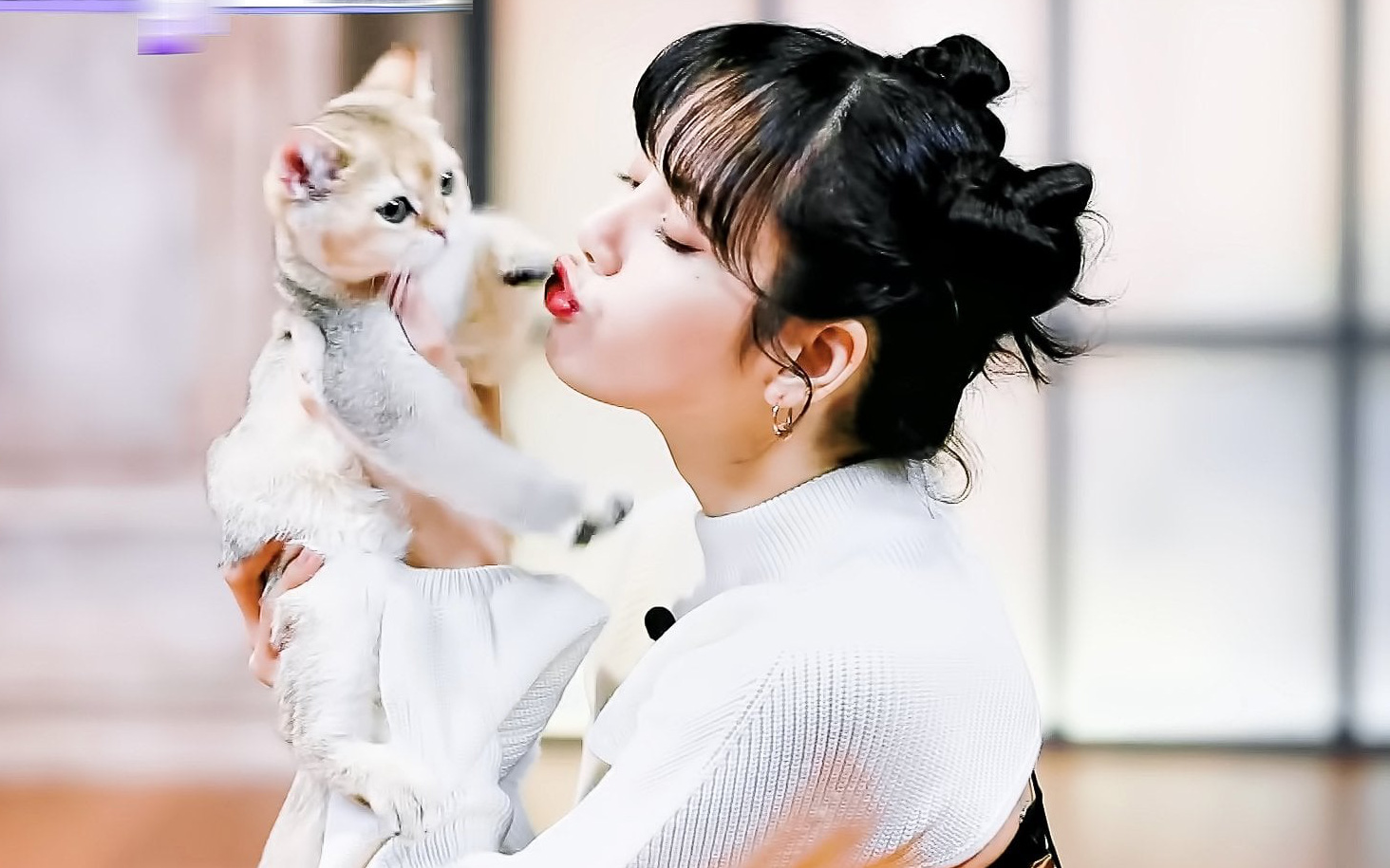 Thanh xuân có bạn 3: Lộ hình cưng xỉu của Lisa (BLACKPINK), còn chu môi hôn mèo khiến netizen phát cuồng