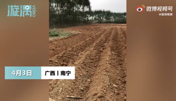Tết Thanh Minh về quê tảo mộ, người đàn ông tá hỏa phát hiện mộ tổ tiên biến mất, sự thật được phơi bày khiến ai cũng tức giận - Ảnh 1.