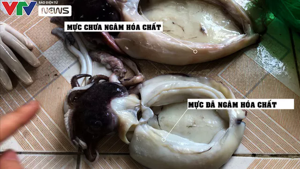 Phù phép mực thành tươi ngon nhờ chiêu tẩy trắng mực bằng oxy già: Làm sao để mua được mực tươi ngon, đảm bảo? - Ảnh 1.