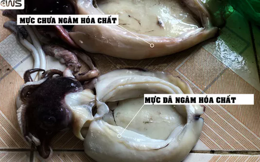 Công nghệ dùng oxy già &quot;phù phép&quot; mực ươn thành tươi ngon khiến người ăn tích tụ hóa chất độc hại: Làm sao để mua được mực tươi ngon, đảm bảo?