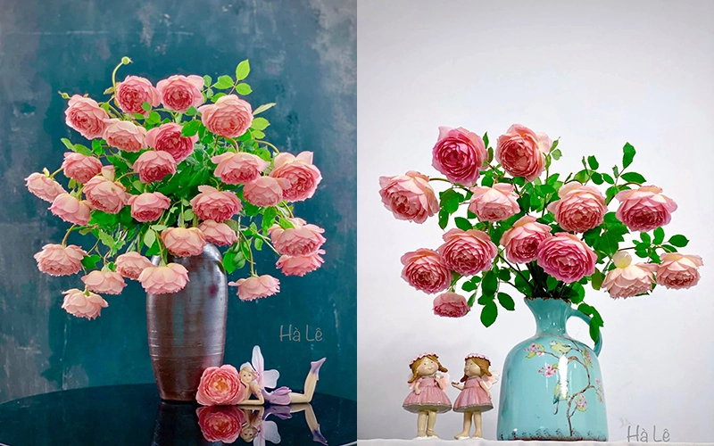 Vợ đảm Hà Nội chia sẻ bí quyết cắm hoa hồng Jubilee vạn người mê, tiết lộ giọt nước thần kỳ có sức mạnh giữ hoa "trẻ mãi"