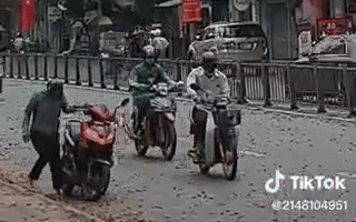 Choáng ngợp cảnh tượng cơn mưa một loài hoa trút xuống phố Sài Gòn, người qua đường chẳng thể cầm lòng phải dừng xe xuống nhặt 