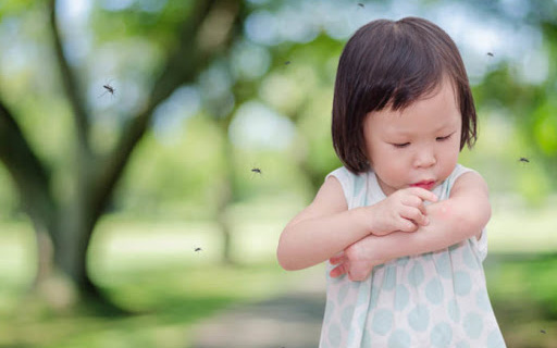 5 loại xịt chống muỗi vừa an toàn vừa hiệu quả cho bé được mẹ bỉm ưa chuộng nhất