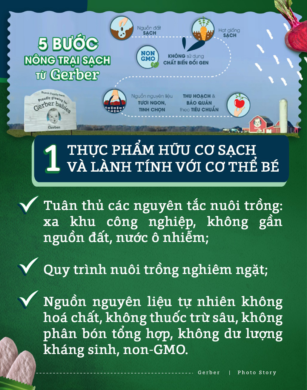 Chuyên gia dinh dưỡng chỉ rõ 3 lý do thực phẩm hữu cơ là lựa chọn tối ưu giúp bé khởi đầu ăn dặm vững vàng - Ảnh 4.