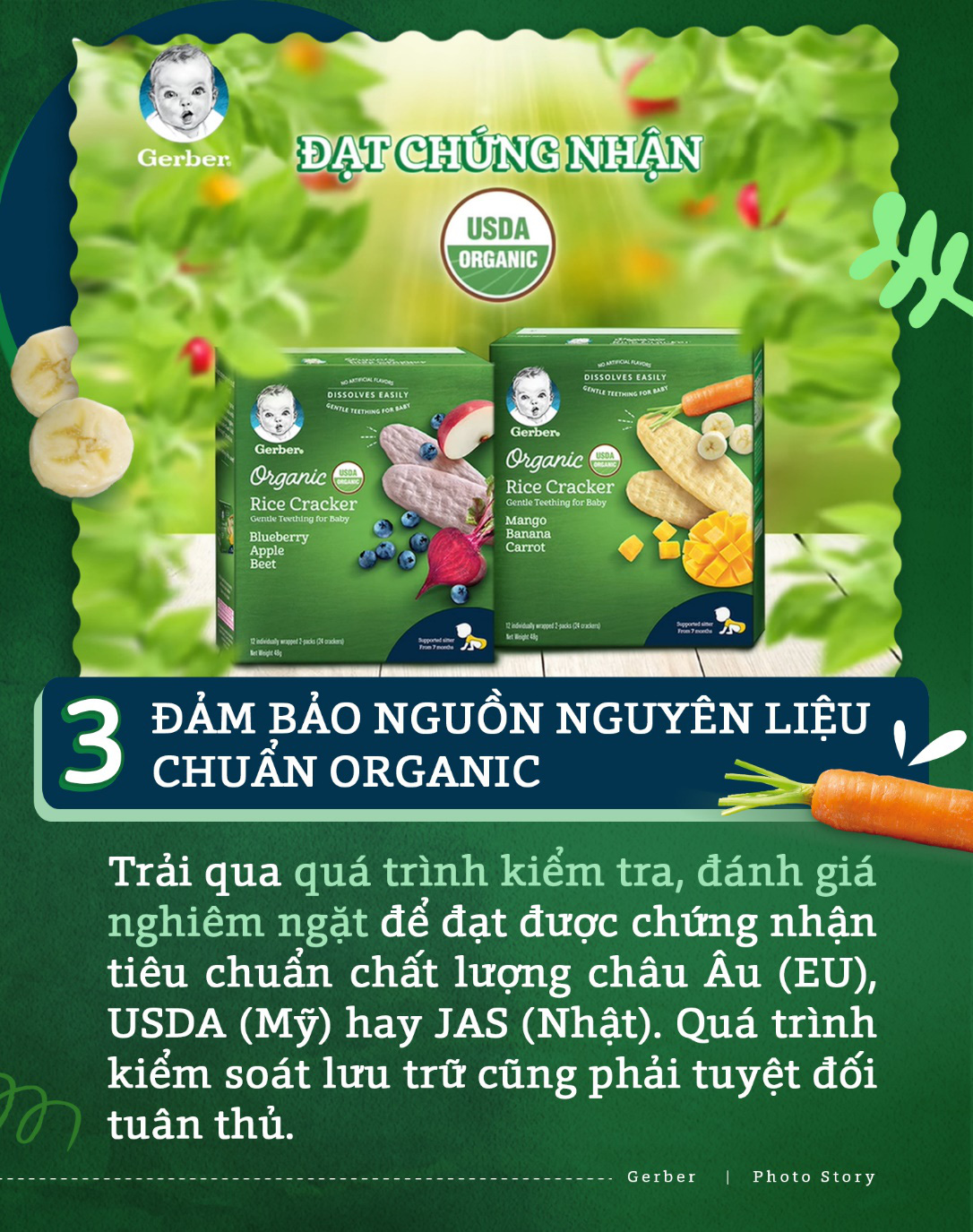 Chuyên gia dinh dưỡng chỉ rõ 3 lý do thực phẩm hữu cơ là lựa chọn tối ưu giúp bé khởi đầu ăn dặm vững vàng - Ảnh 6.