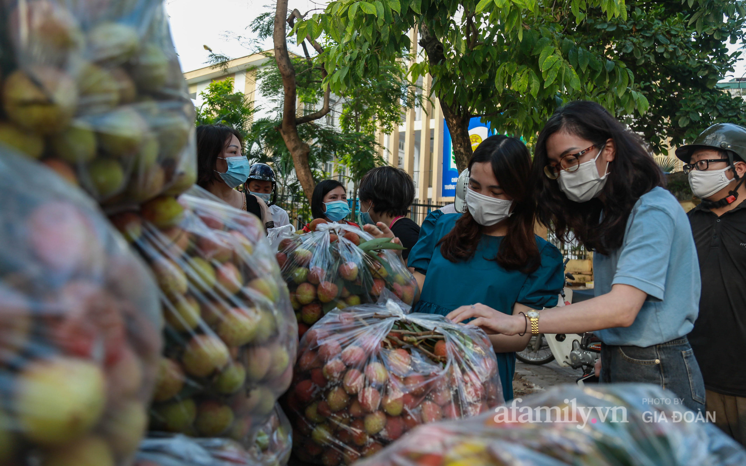 Người Hà Nội đội nắng nóng, nườm nượp chung tay mua vải Bắc Giang hỗ trợ người dân vùng dịch
