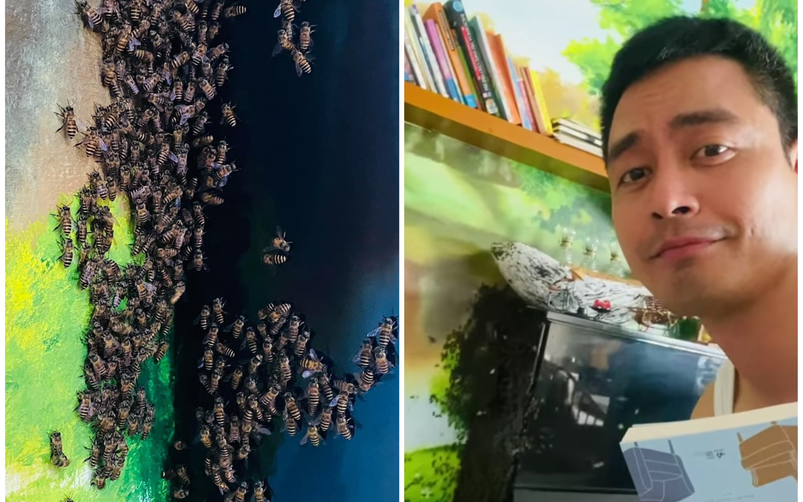 MC Phan Anh &quot;cầu cứu&quot; dân mạng bởi cảnh tượng hàng nghìn con ong bay vào nhà khiến nhiều người kinh ngạc