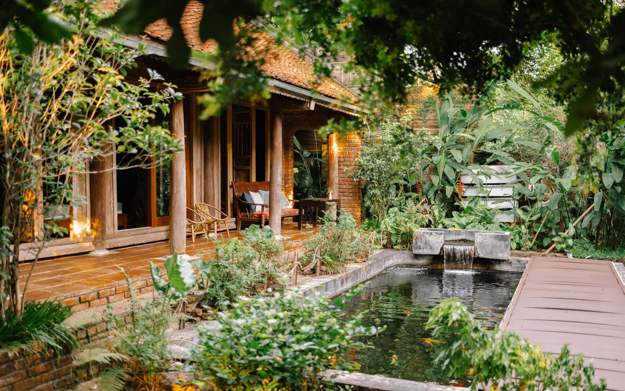 Cuộc sống yên bình trong ngôi nhà nhỏ và khu vườn xanh mát bóng cây ở ngoại thành Hà Nội