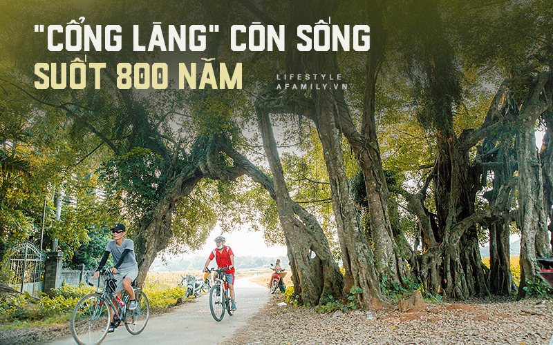 Ngôi làng độc nhất Việt Nam sở hữu &quot;CHIẾC CỔNG&quot; SỐNG SUỐT 800 NĂM, được công nhận là di sản và là bối cảnh của không biết bao nhiêu bộ phim đình đám