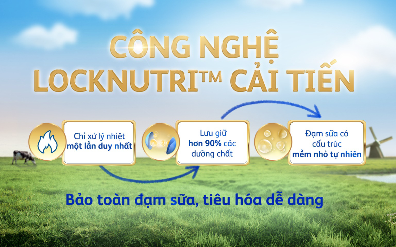 Friso Gold mới với nguồn sữa NOVAS 100% từ Châu Âu giúp bé dễ tiêu hóa - Ảnh 3.