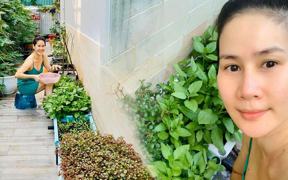 Thân Thúy Hà rất chăm khoe vườn rau “gì cũng có” trong biệt thự ở Sài thành, chị em nhìn mà phát thèm!