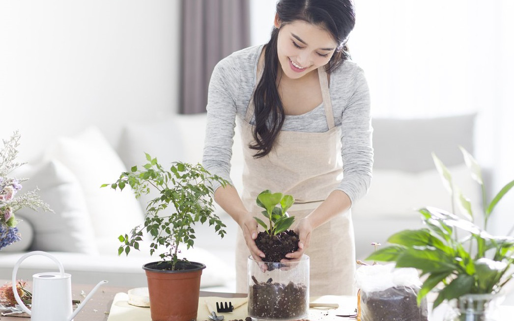 Có 6 món đồ này trong nhà, bạn thực sự là một người khôn ngoan và chín chắn