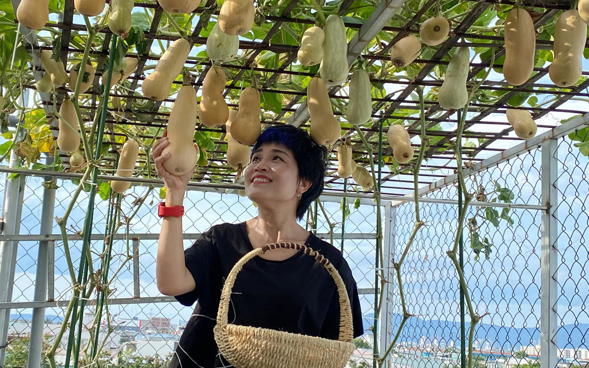 Giãn cách vẫn đủ rau quả thưởng thức nhờ vườn cây xanh um trên sân thượng ở Đà Nẵng