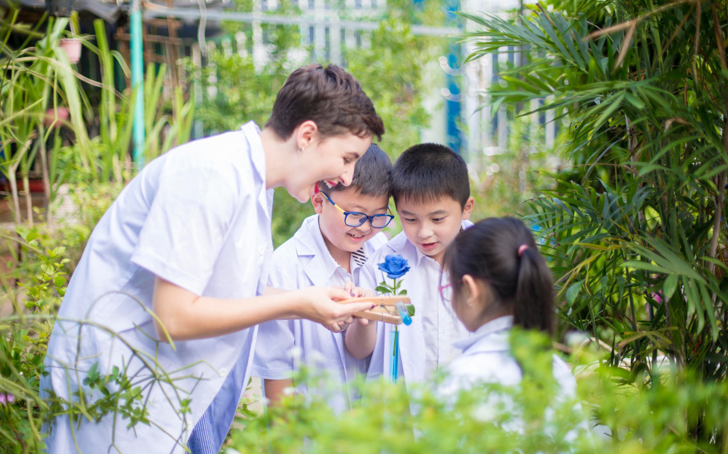 Những điều cha mẹ cần biết về Chương trình Cambridge tại trường Việt-Úc Hà Nội
