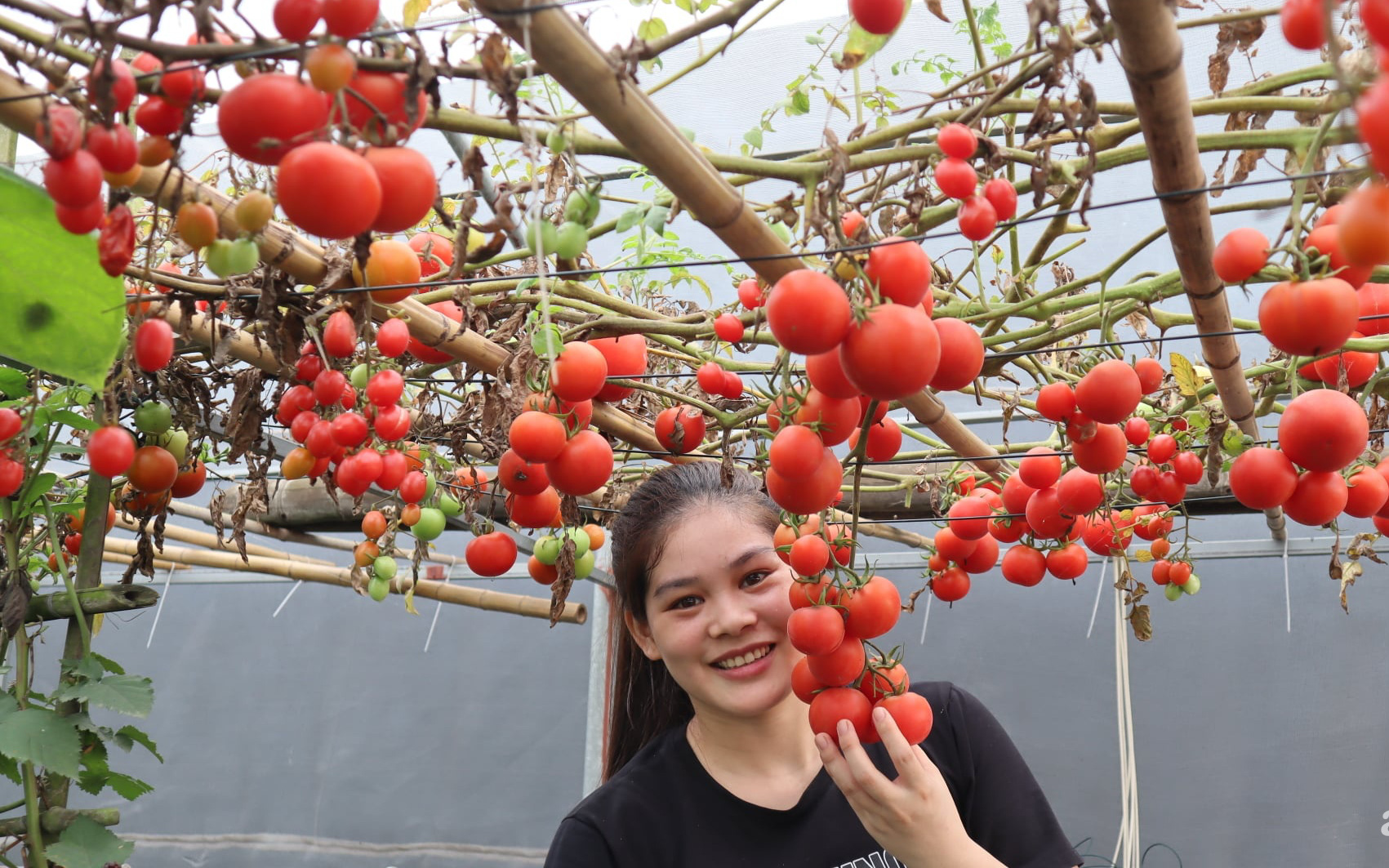 Sở hữu sân thượng đủ loại rau và trái cây sạch, mẹ trẻ yên tâm cùng gia đình "đi qua mùa dịch" ở Thái Bình