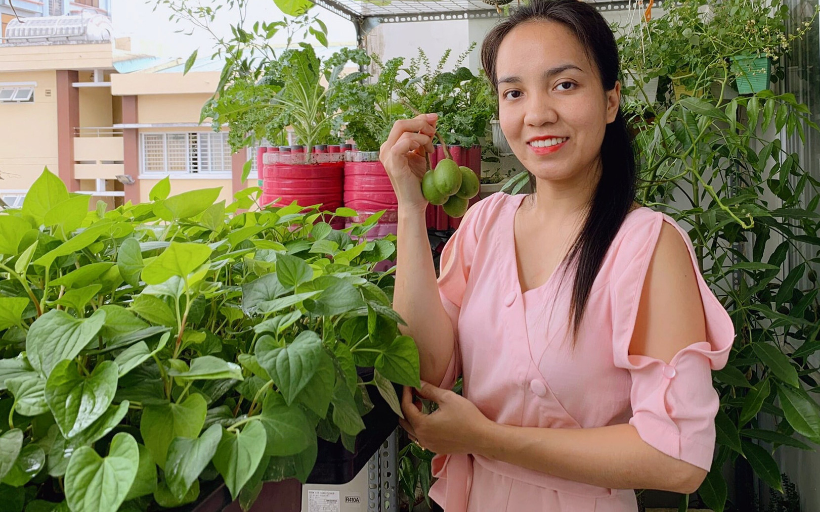Vườn rau xanh mướt "không hạt giống - không cây trồng" trên ban công 3m² của mẹ đảm Sài Gòn 