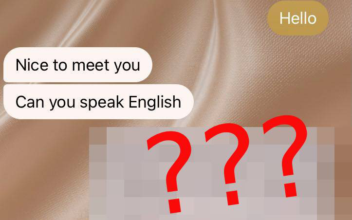 Anh Tây hỏi "Biết nói tiếng Anh không?", cô gái Việt gửi đúng 1 chiếc ảnh: Đọc nội dung mà muốn trầm cảm!