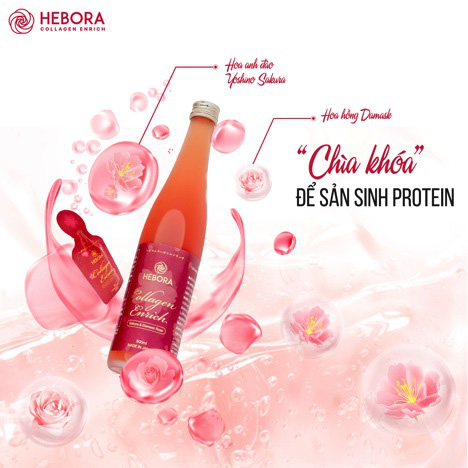 Da đẹp khỏe - Hỗ trợ đảo ngược lão hóa nhờ việc nuôi dưỡng 5 hàng rào tự nhiên - Ảnh 3.
