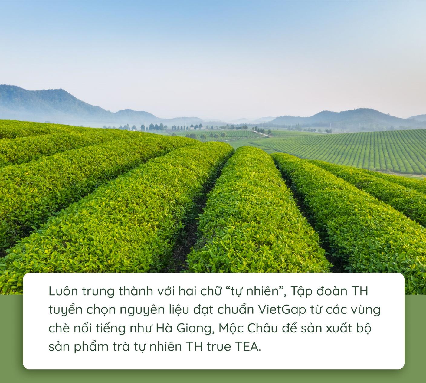 Khám phá quy trình làm ra chai trà hoàn toàn tự nhiên đang gây bão với cộng đồng healthy - Ảnh 1.