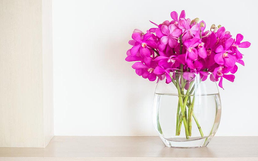 10 loài hoa và cây cảnh có hại khi bạn để trong phòng ngủ