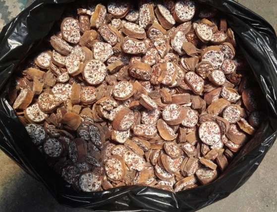 Loại chuối này được coi là thần dược trị bệnh, từ gốc đến ngọn đều được tận dụng, tiếc là người Việt không coi trọng vì không ngon - Ảnh 7.