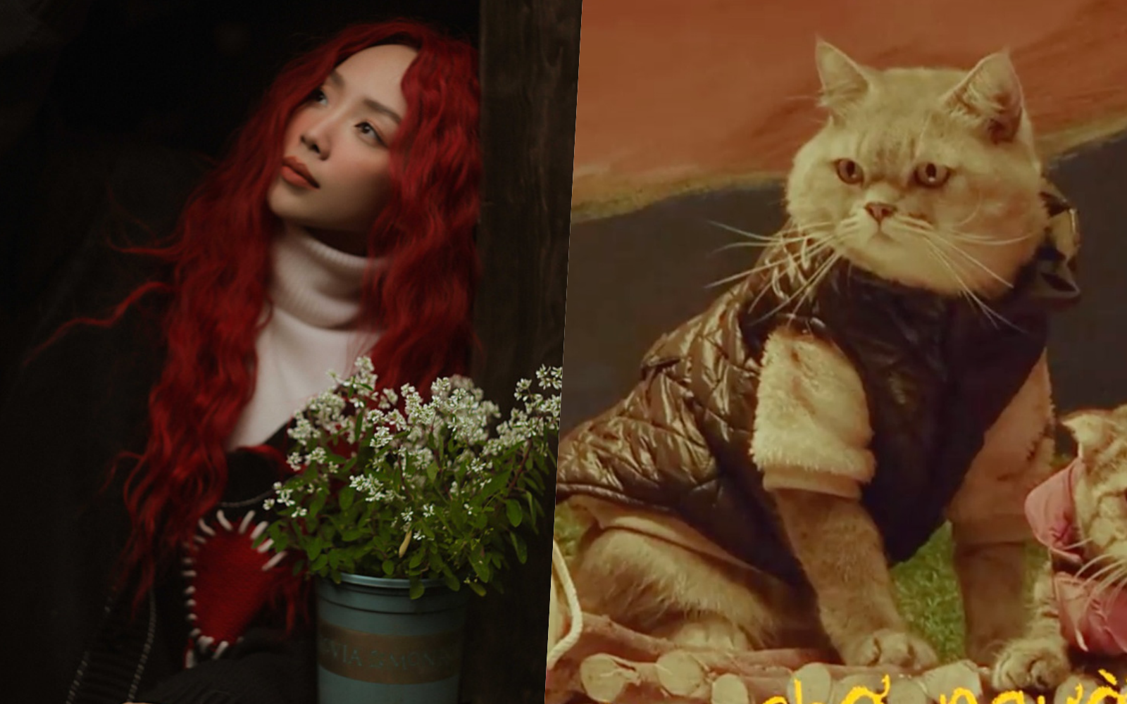 MV mới của Tóc Tiên chỉ toàn mèo với mèo, fan tìm “đỏ mắt” vẫn không thấy nữ chính đâu