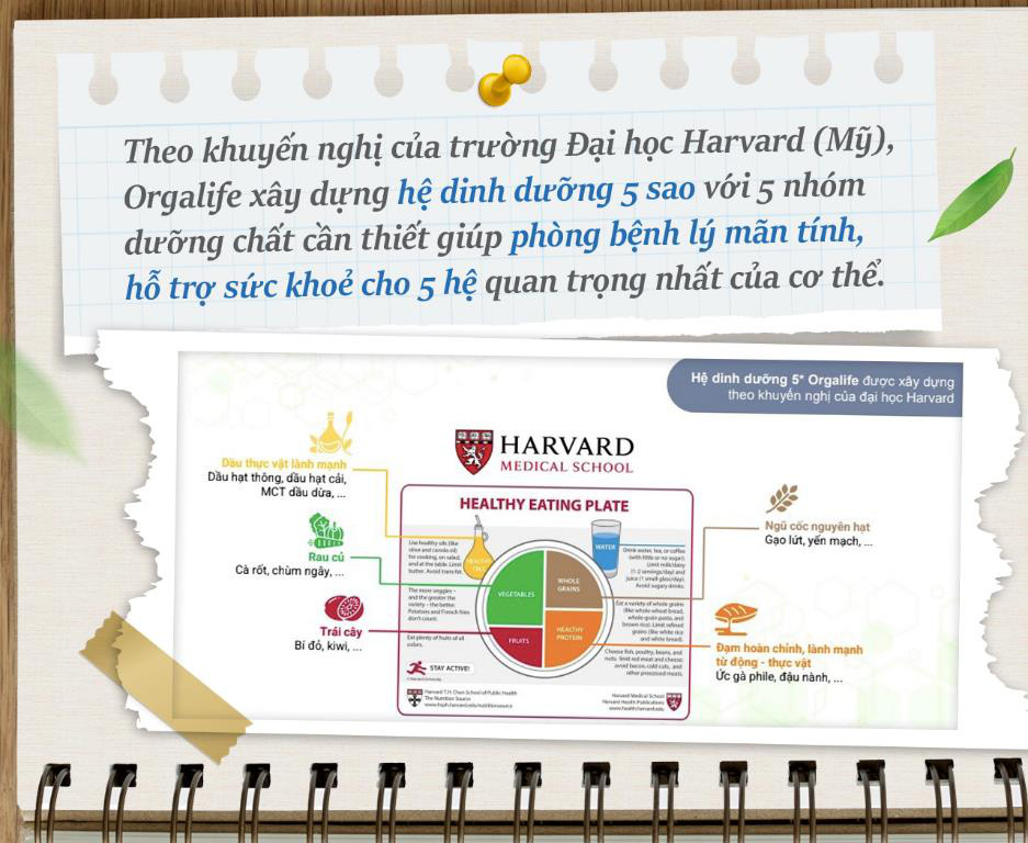 Đừng nói thương con thương cháu bằng lời, hãy khỏe mạnh để quây quần dài lâu - Ảnh 4.