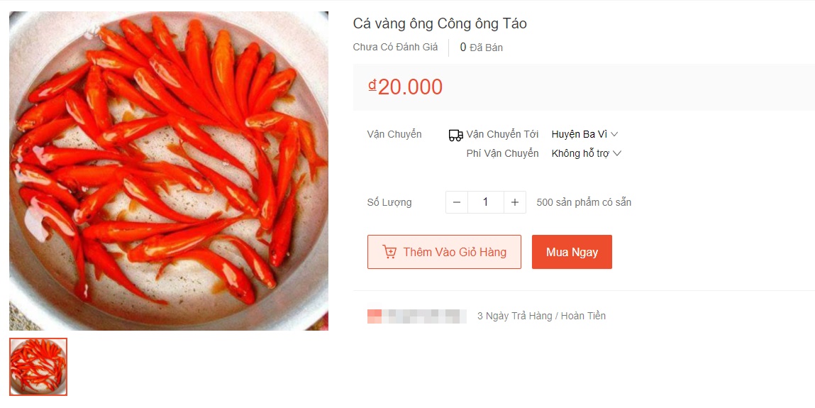 Dịp ông Công ông Táo: Hàng hóa ở các sàn thương mại điện tử phong phú, chỉ ở nhà cũng sắm đủ cỗ cúng rẻ hơn tới 50% mua ngoài hàng - Ảnh 4.