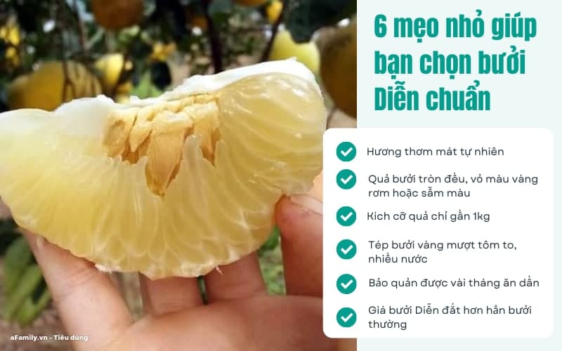 6 mẹo nhỏ giúp bạn chọn bưởi Diễn ăn Tết 10 quả thơm ngọt như 10 - Ảnh 1.