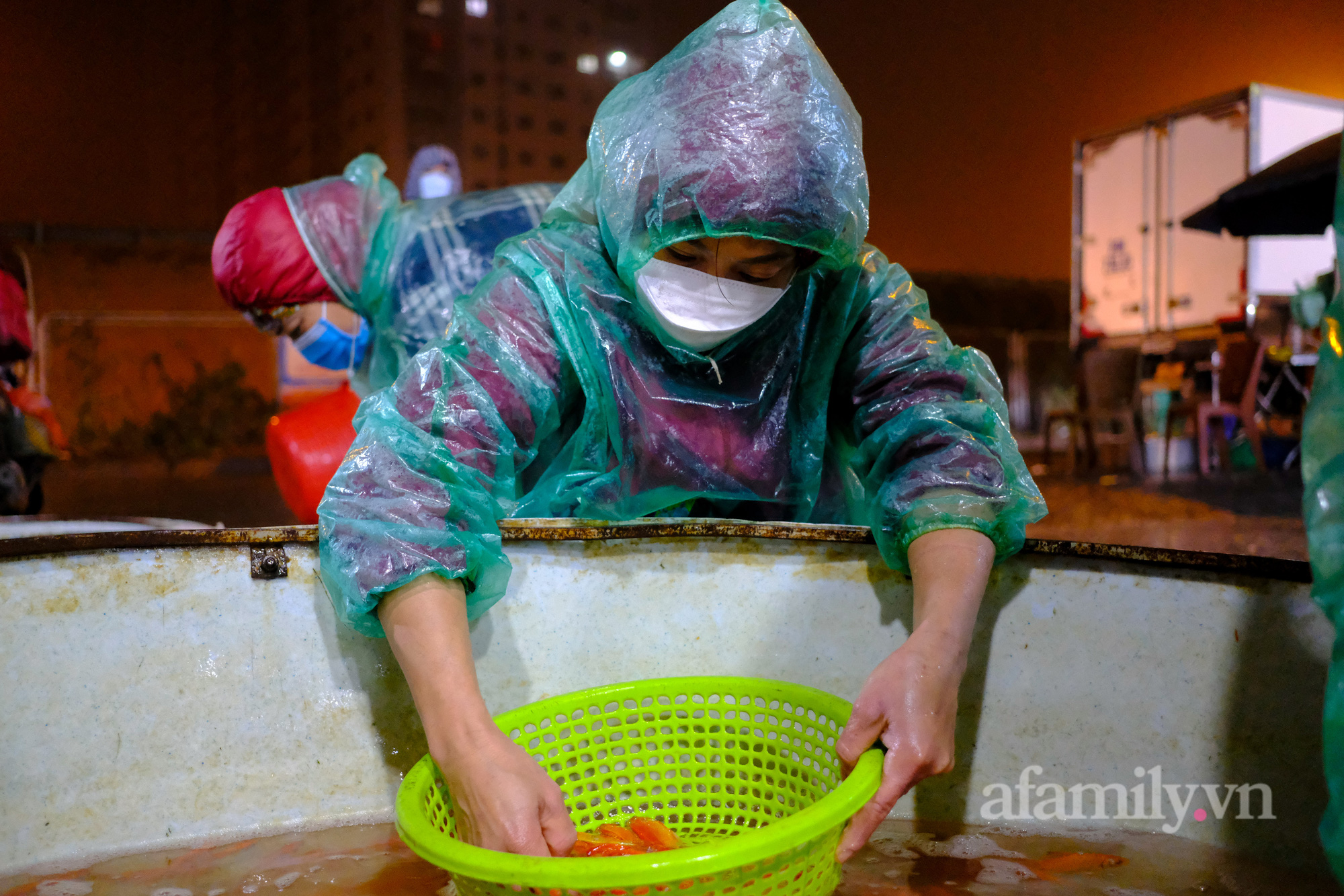 Ngày ông Công, ông Táo Cá chép tăng giá gấp đôi so với năm trước, tiểu thương vẫn lo không dám “ôm” nhiều - Ảnh 8.