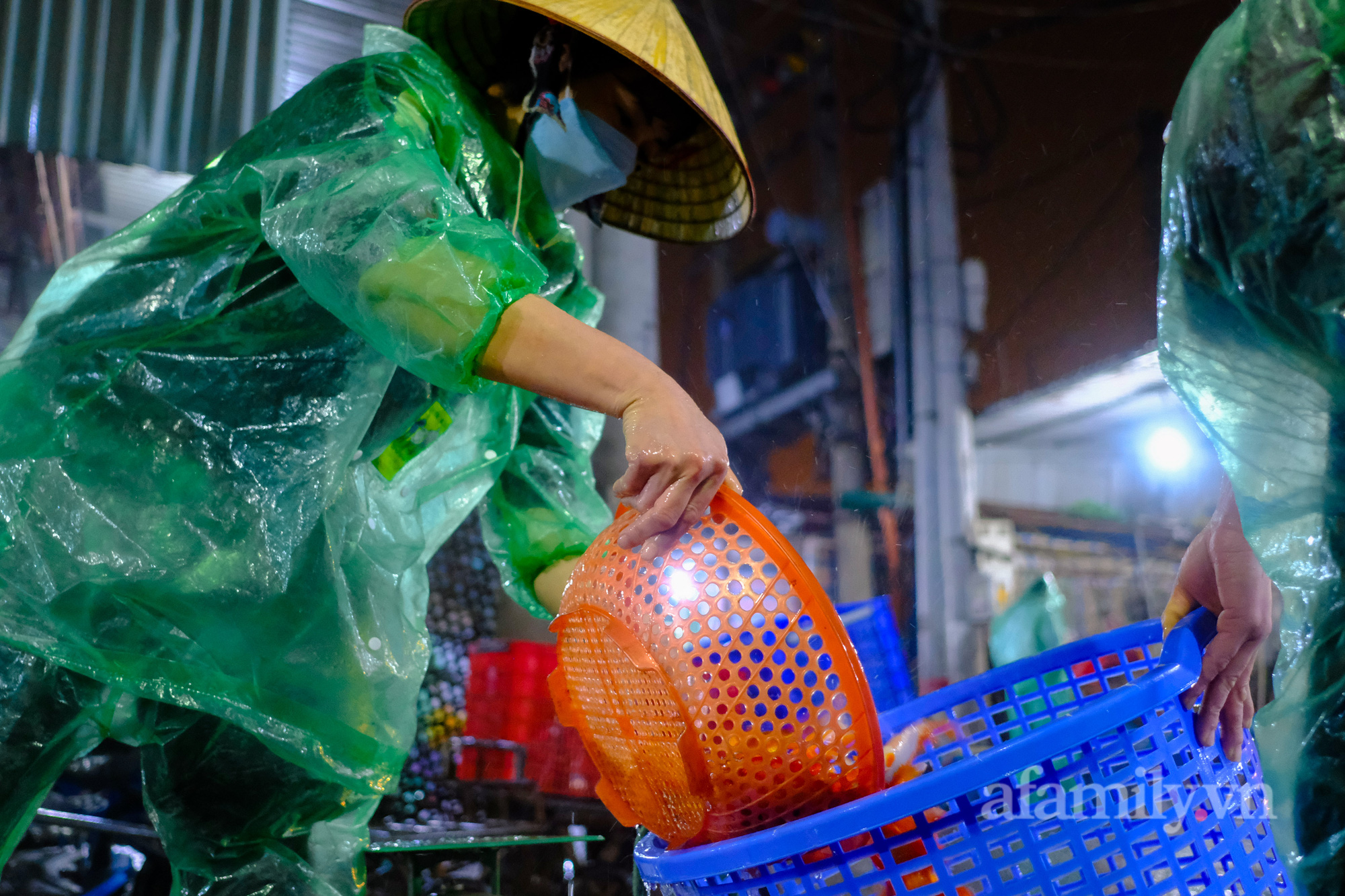 Ngày ông Công, ông Táo Cá chép tăng giá gấp đôi so với năm trước, tiểu thương vẫn lo không dám “ôm” nhiều - Ảnh 11.