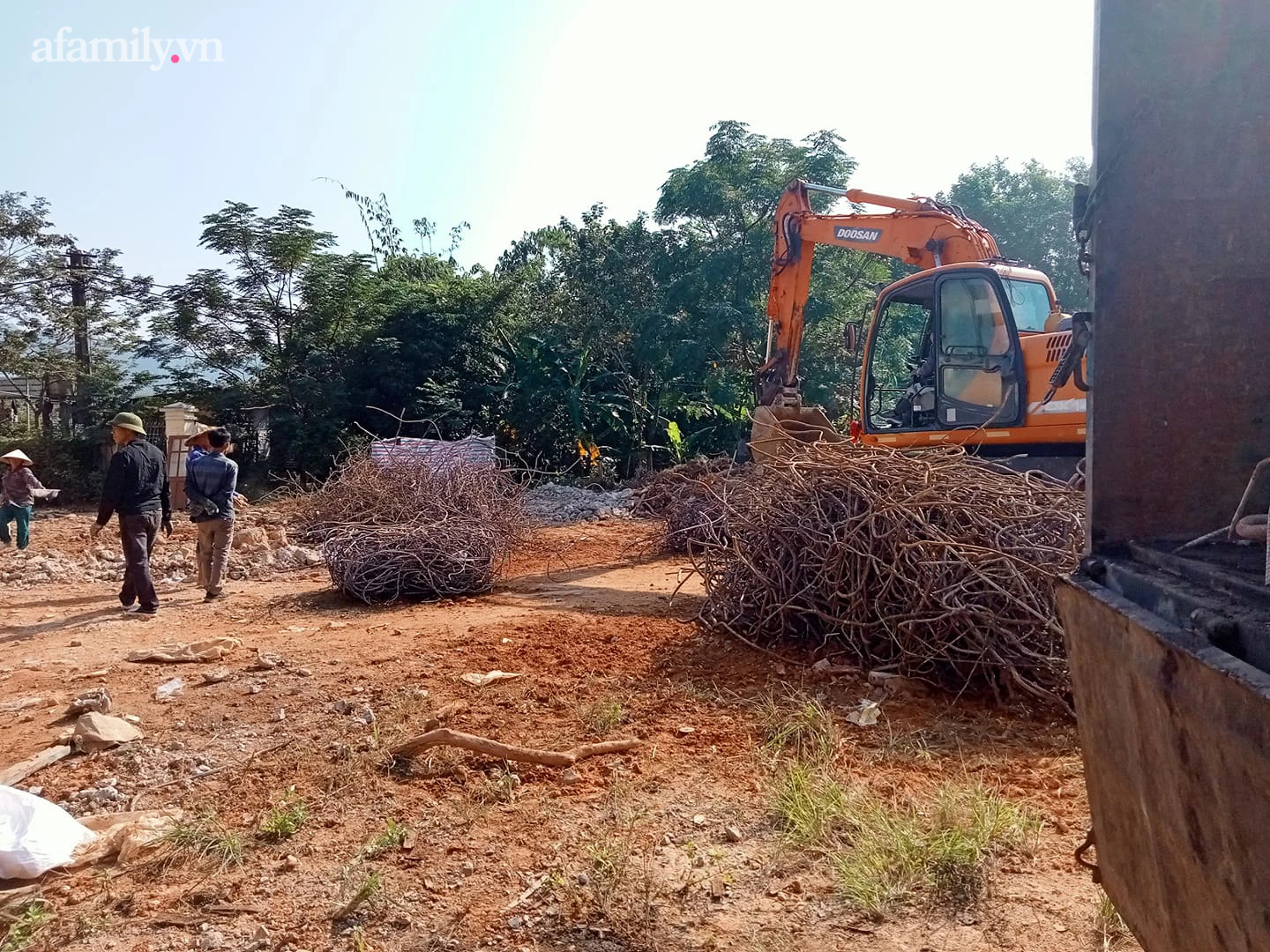 Cặp vợ chồng trẻ ở Hạ Long 