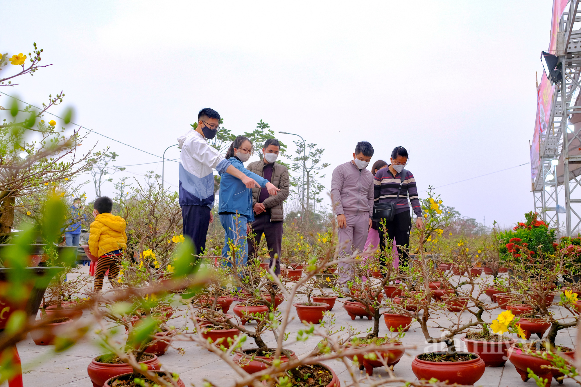 Sợ ra chợ đông, người dân Thủ đô mang cả gia đình xuống vườn vừa vui chơi tiện mua luôn cây cảnh về chơi Tết - Ảnh 5.