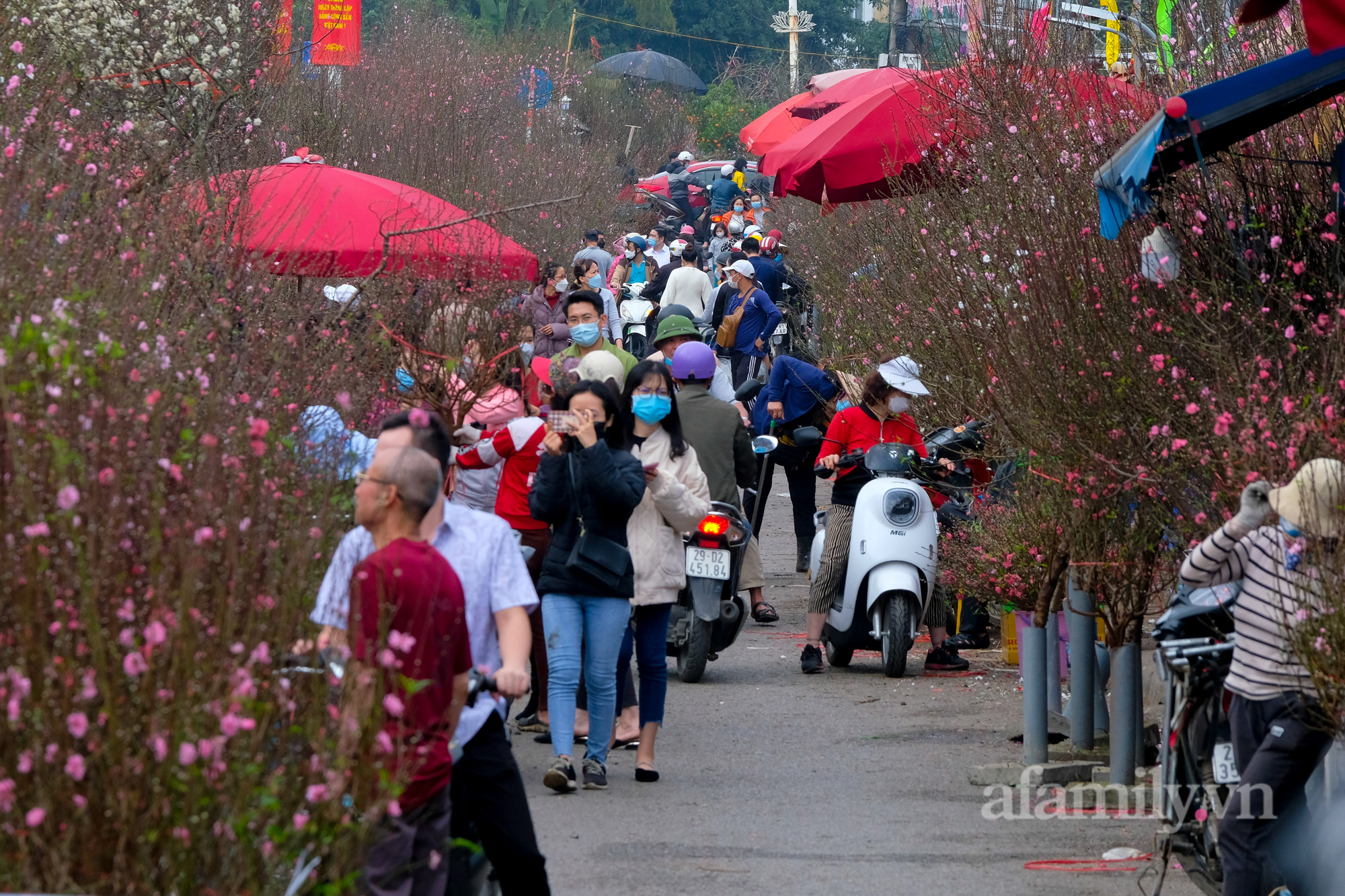 29 Tết đi chợ hoa Quảng Bá: Giá hoa tăng 20% so với ngày thường, mua nhanh 5 cành đào đông cắm đẹp nhà mà hết 2,2 triệu - Ảnh 2.