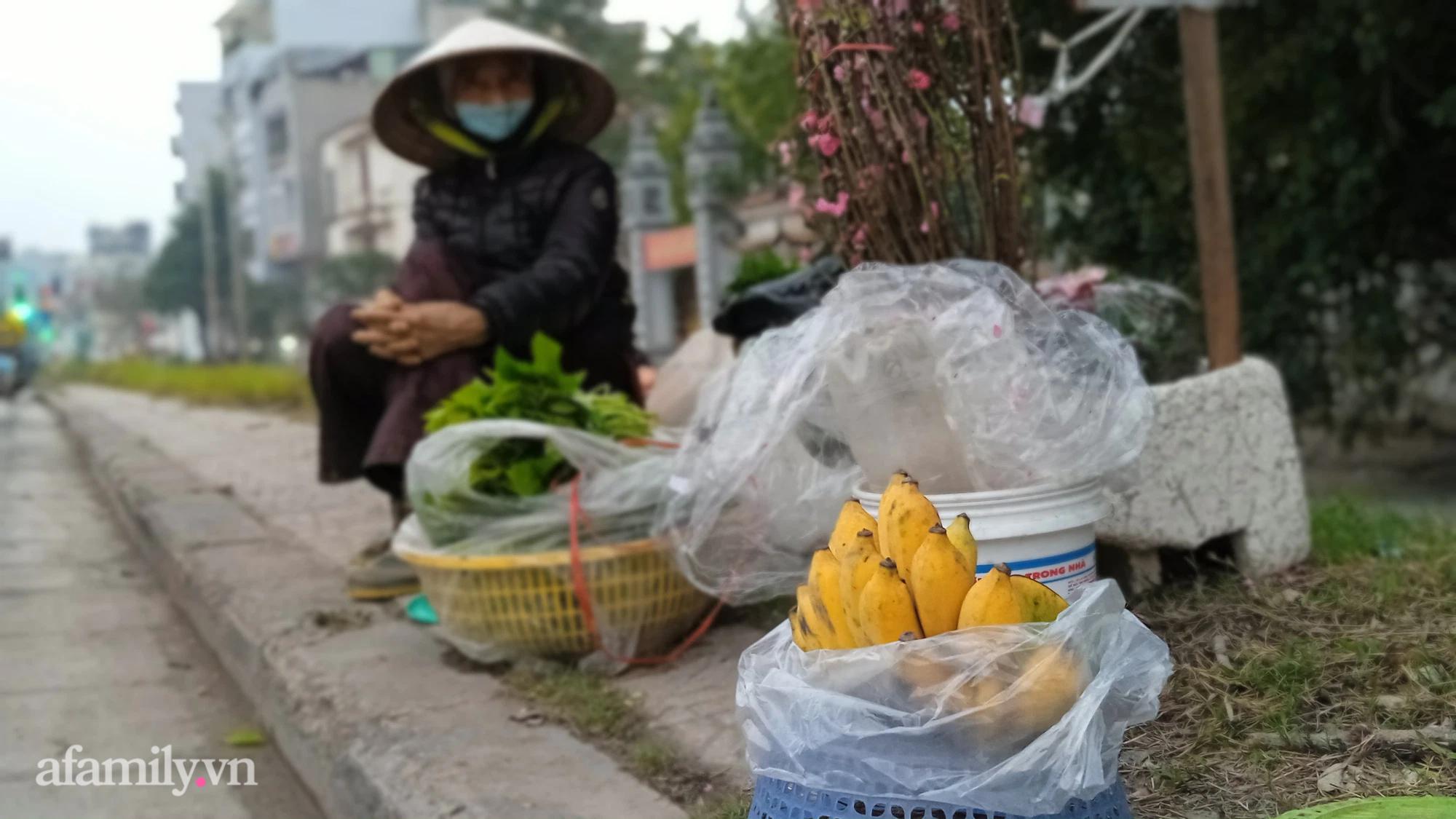 Cụ An tranh thủ bán hoa quả kiếm tiền