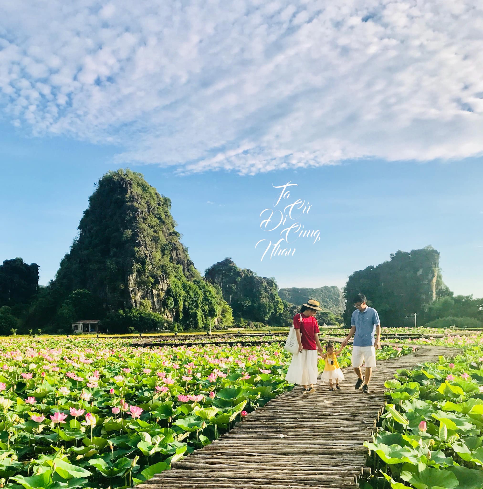 Cả gia đình rủ nhau về Tràng An - Ninh Bình trải nghiệm ngắm đầm sen và nông trường dứa bát ngát  - Ảnh 8.