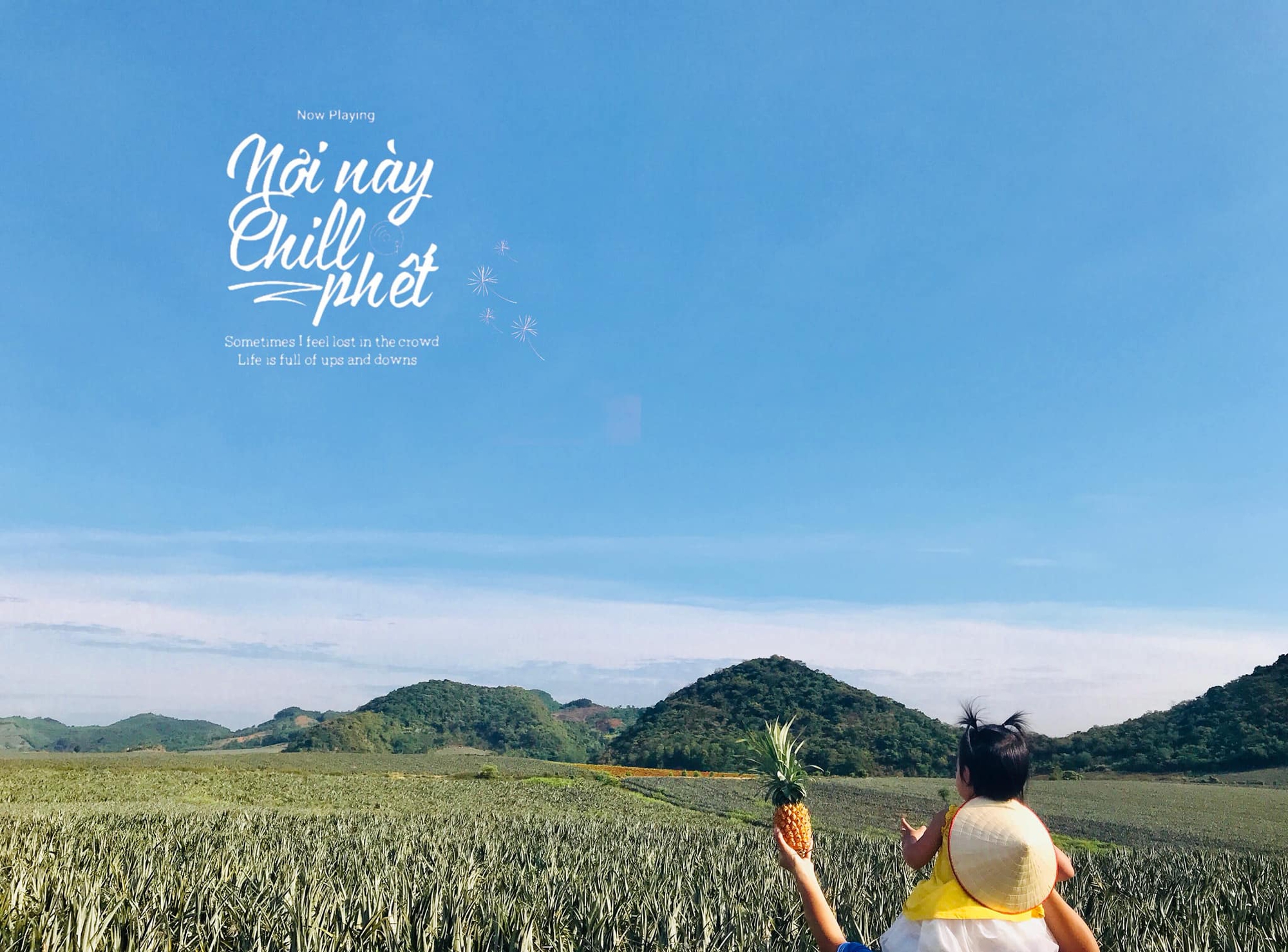 Cả gia đình rủ nhau về Tràng An - Ninh Bình trải nghiệm ngắm đầm sen và nông trường dứa bát ngát  - Ảnh 6.
