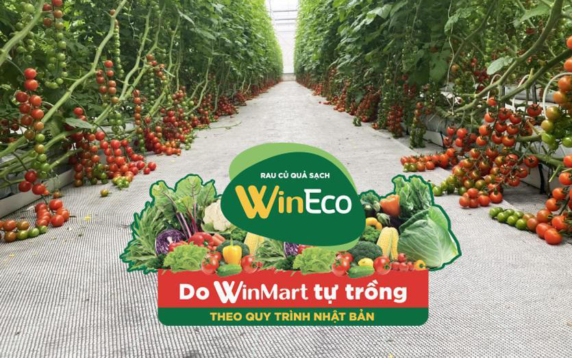 Rau sạch WinEco với giá tốt tới 40%, cứu cánh giữa “ma trận” thực phẩm sạch