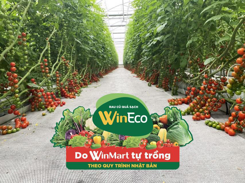 Rau sạch WinEco với giá tốt tới 50%, cứu cánh giữa “ma trận” thực phẩm sạch - Ảnh 1.