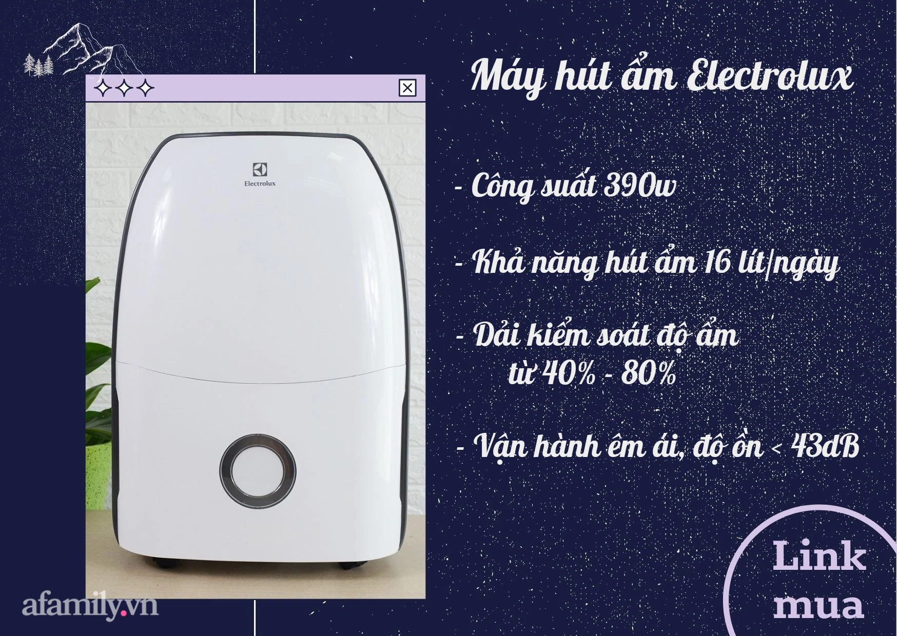 Hễ mùa nồm đến là các mẫu máy hút ẩm này lại được “săn đón”, muốn mua phải chốt đơn liền tay, bỏ lỡ là cháy hàng ngay - Ảnh 4.