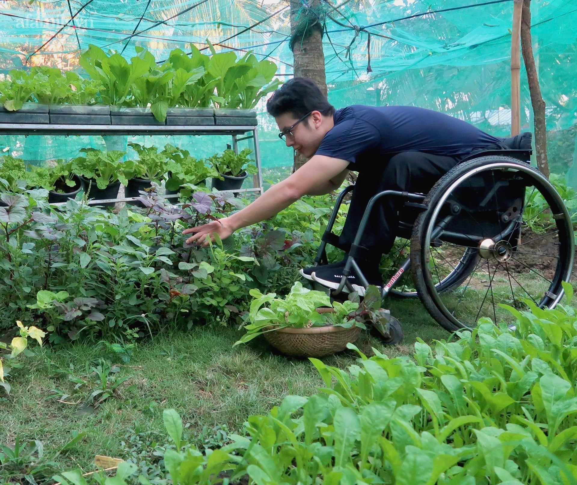 Khu vườn sai trĩu của chàng trai bị liệt hai chân, ngồi trên xe lăn chăm rau, quả mỗi ngày - Ảnh 5.