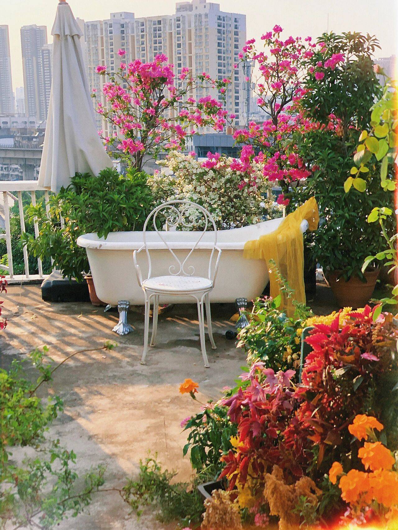 Đam mê với việc trồng hoa, cô nàng độc thân 27 tuổi thuê nhà trên sân thượng để tạo ra khu vườn đẹp như tranh vẽ của riêng mình - Ảnh 3.