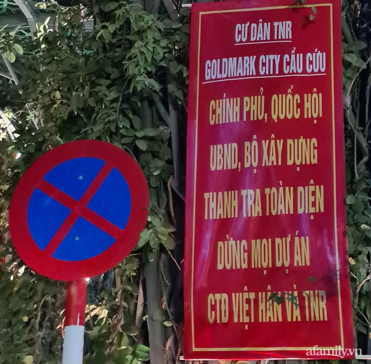 Tại các vườn hoa