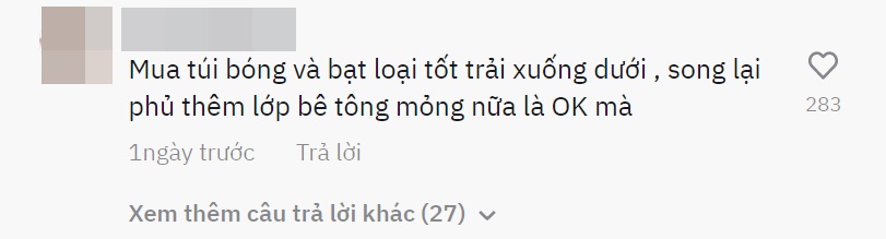 Gia đình thiết kế ao nước trên mái nhà 