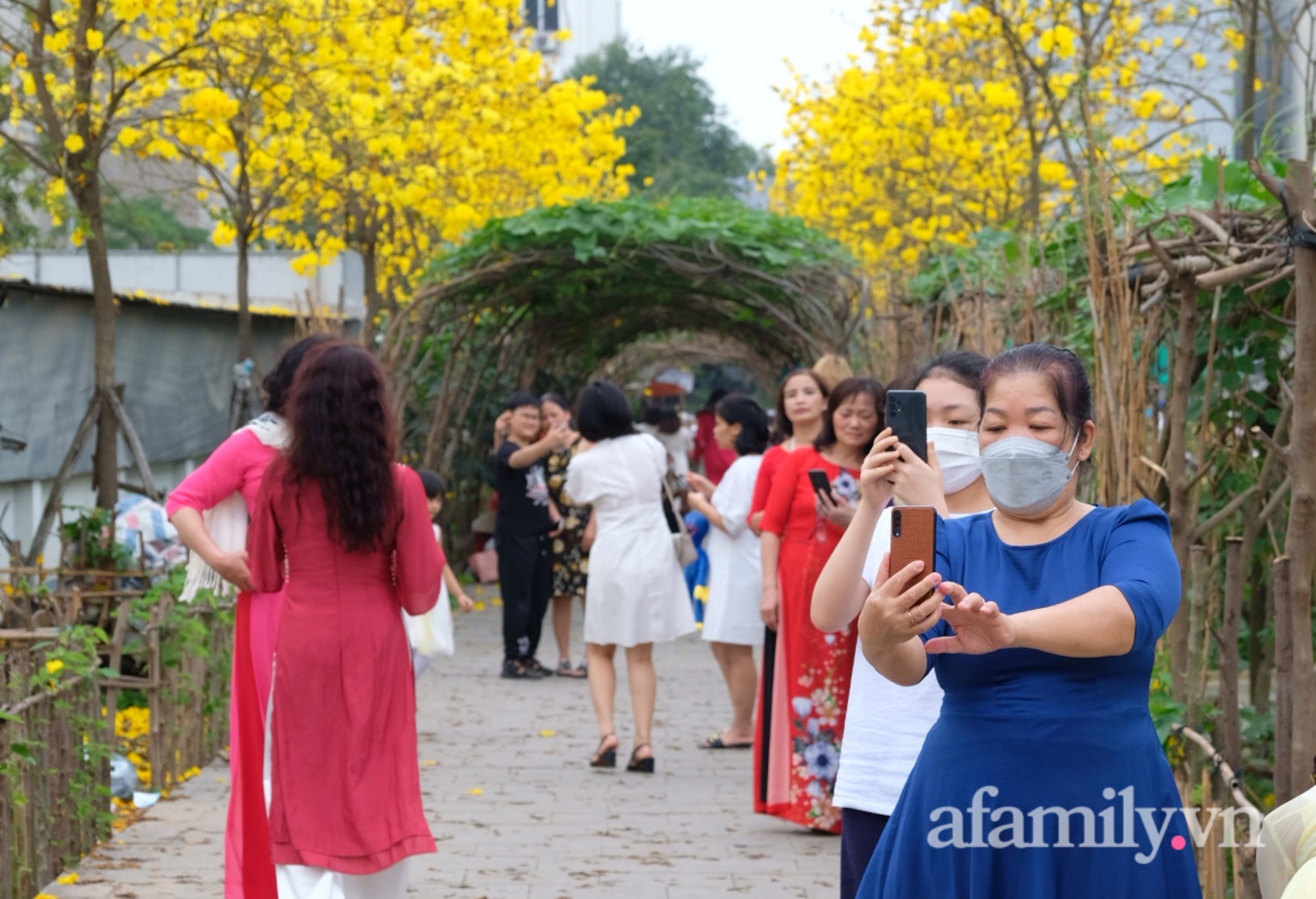 Xuất hiện đường hoa phong linh mới, hàng nghìn người đổ xô đến chụp ảnh cuối tuần - Ảnh 4.