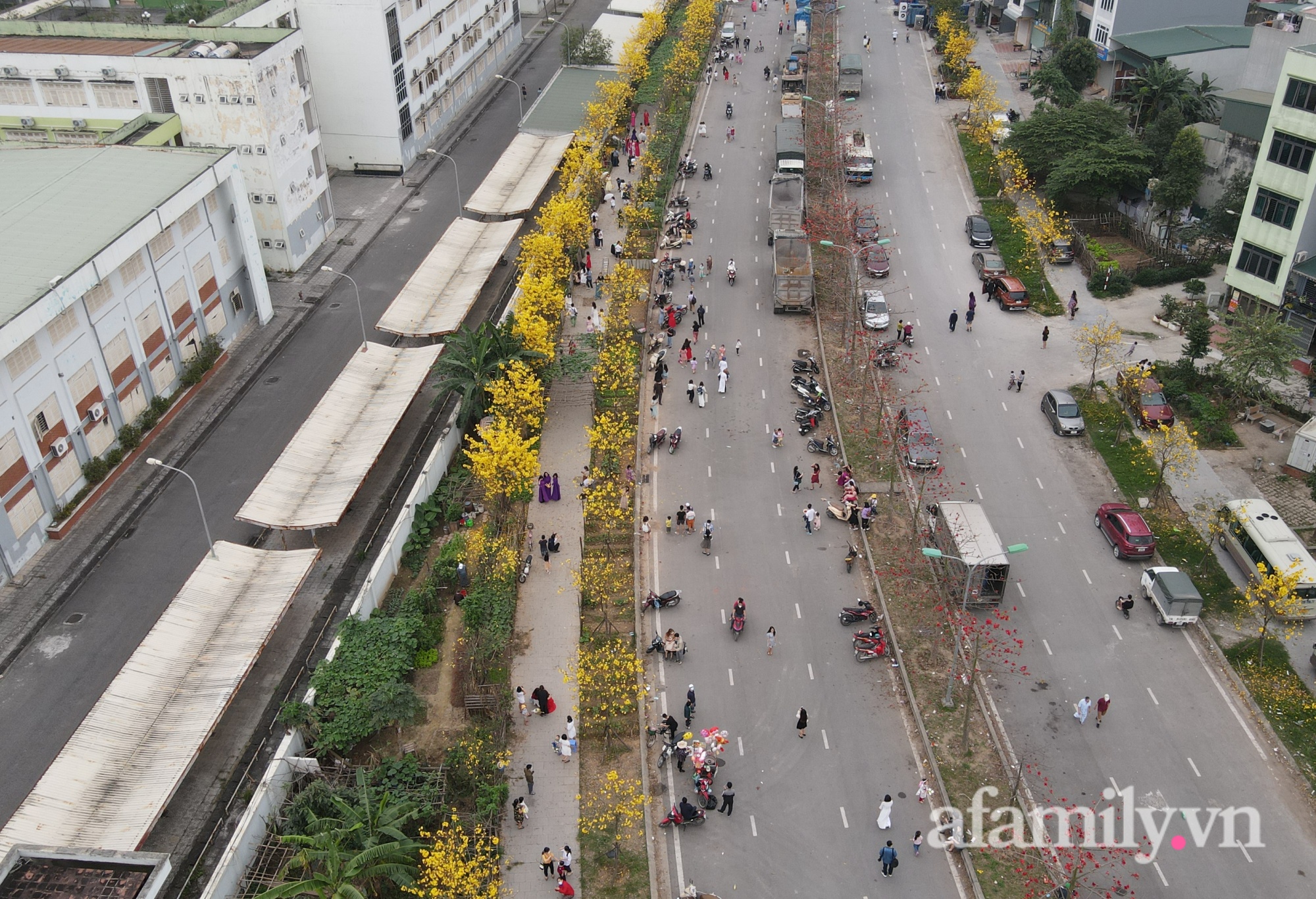 Xuất hiện đường hoa phong linh mới, hàng nghìn người đổ xô đến chụp ảnh cuối tuần - Ảnh 6.