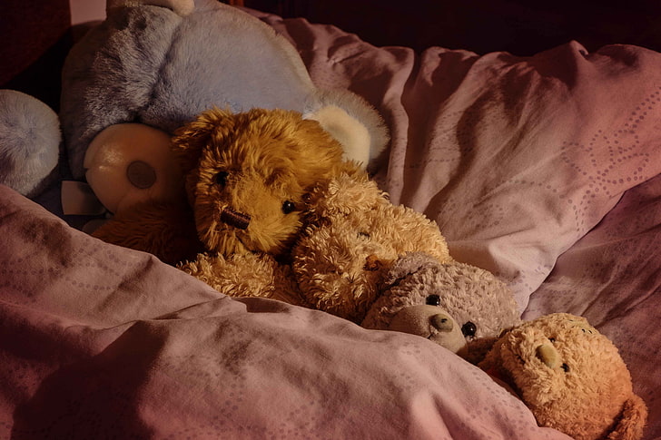 toys-sleep-the-situation-bears-wallpaper-preview.jpeg