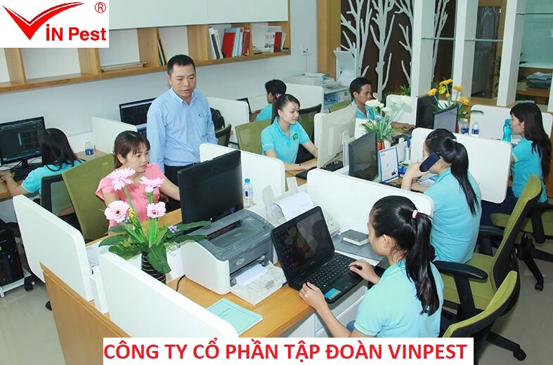 Hành trình 20 năm phát triển thương hiệu VinPest - Vua diệt côn trùng Việt Nam - Ảnh 3.